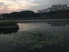 -正佳冰河湾真冰滑冰场
