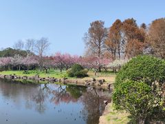 -上海海湾国家森林公园