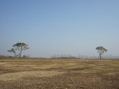 -盘龙城国家考古遗址公园