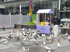 -中航城君尚购物中心