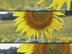 -苏州湾体育公园