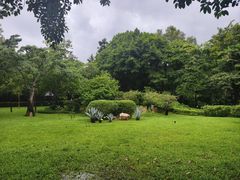 -晓港公园
