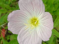 -昆山城市生态森林公园