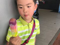 -圣淘沙天际线斜坡滑车