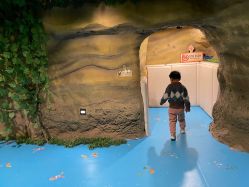 -酷嗒动物文化乐园(cutezoo西溪乐天城店)