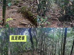 -鸡枕山