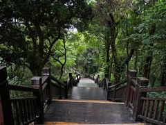 -天鹿湖森林公园