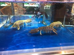 -盒马X会员店(王府井奥莱UP TOWN店)