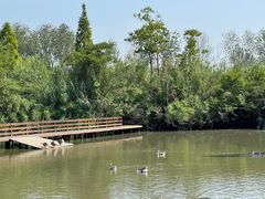 -溱湖国家湿地公园