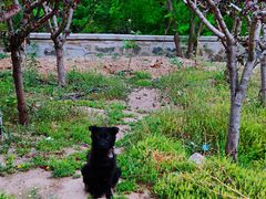 -永定河休闲森林公园