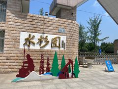 -水杉园