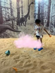 -恐龙探索乐园(磁器口店)