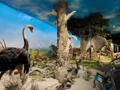 -国家自然博物馆