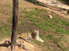 -西霞口神雕山野生动物世界