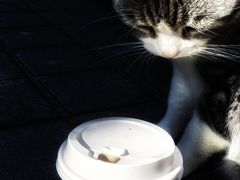 -UN CAFFE(五角场店)