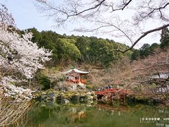 -醍醐寺