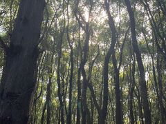 -同里国家湿地公园
