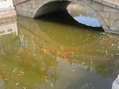 -丰台花园