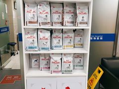 -申普宠物医院·心脏介入·心血管微创(总院)