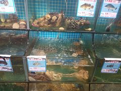 水产区-范饭椰林川湘味海鲜·椰子鸡(三亚湾椰梦长廊店)