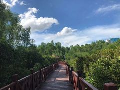 -大亚湾红树林城市湿地公园
