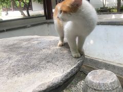 -航天馒头(瞻园路店)