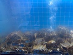 -海鲜时间自助餐厅(如皋万达广场店)