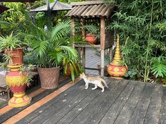 -品德宏·孔雀宴的发源地(金塔园店)