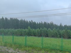 -御道口草原森林风景区