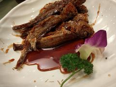 -农家大院(纪王店)