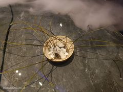 -怡心阁·水疗SPA(天府广场店)