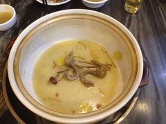 -鸽鸟轩(石岐店)