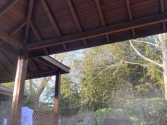 -春晖园度假酒店温泉