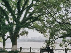 -江心屿景区