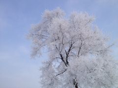 iphone_upload_pic-雾凇岛