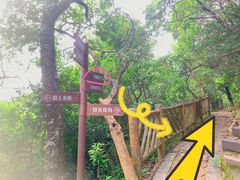 -梧桐山风景名胜区