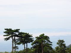 -东天目山风景区