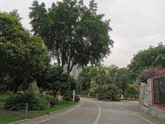 -龙头寺公园