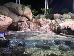 -上海海洋水族馆
