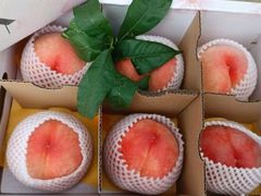 -老袁家蜜桃农场·阳山水蜜桃