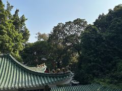 -广州市白云山风景名胜区