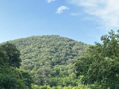 -南京老山国家森林公园