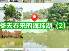 -海珠湖公园
