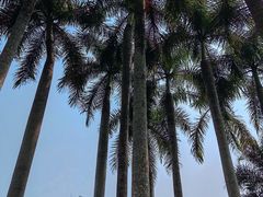 -中国科学院西双版纳热带植物园