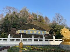 -庐山风景名胜区-东林大佛