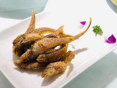 -席家花园(巨鹿花园店)