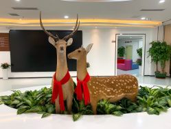 -瑞尼丝国际专业脱毛连锁