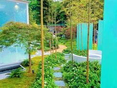 -深圳仙湖植物园