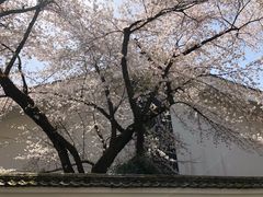 -醍醐寺