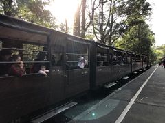 -普芬比利蒸汽火车